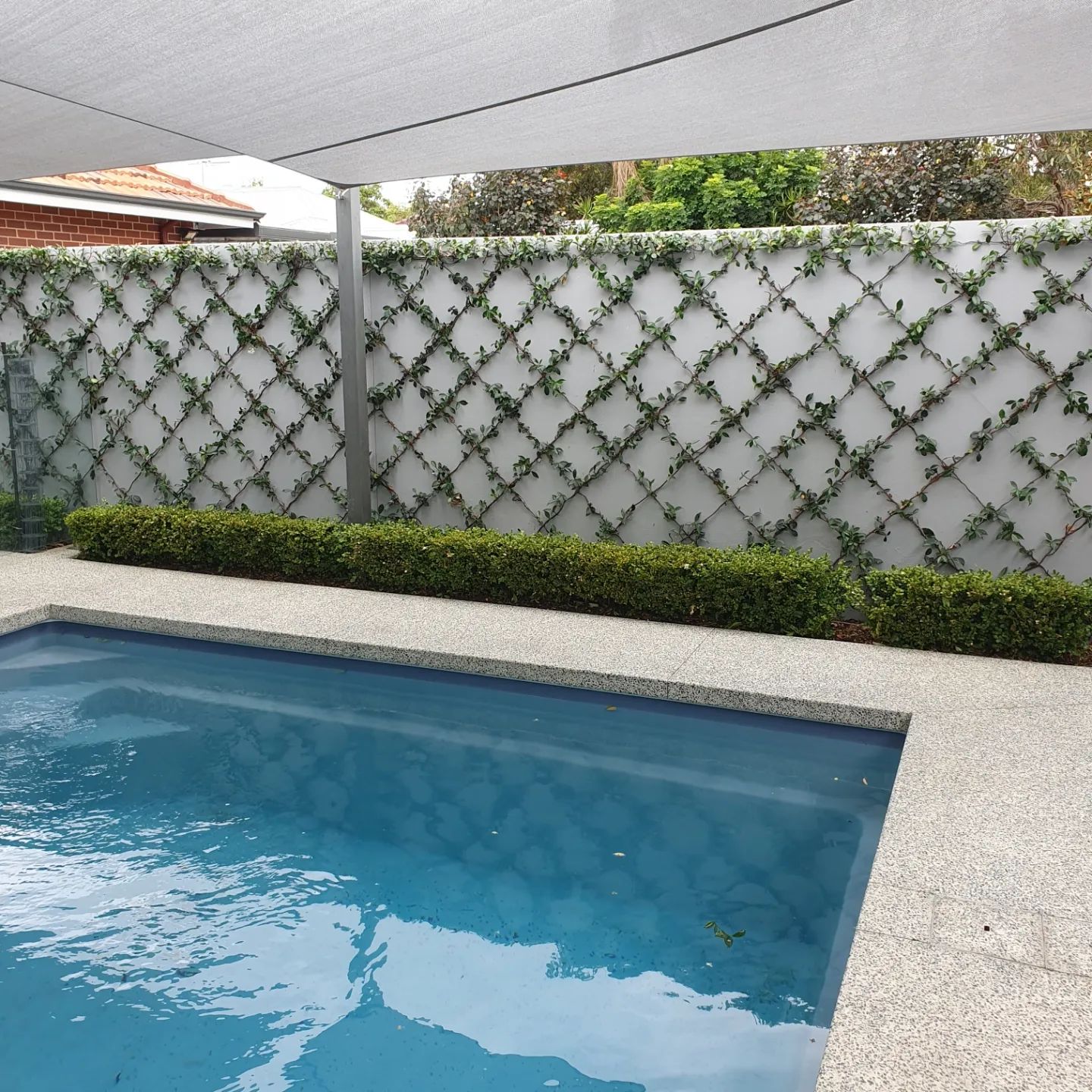 Heavy-Duty Wire Trellis System