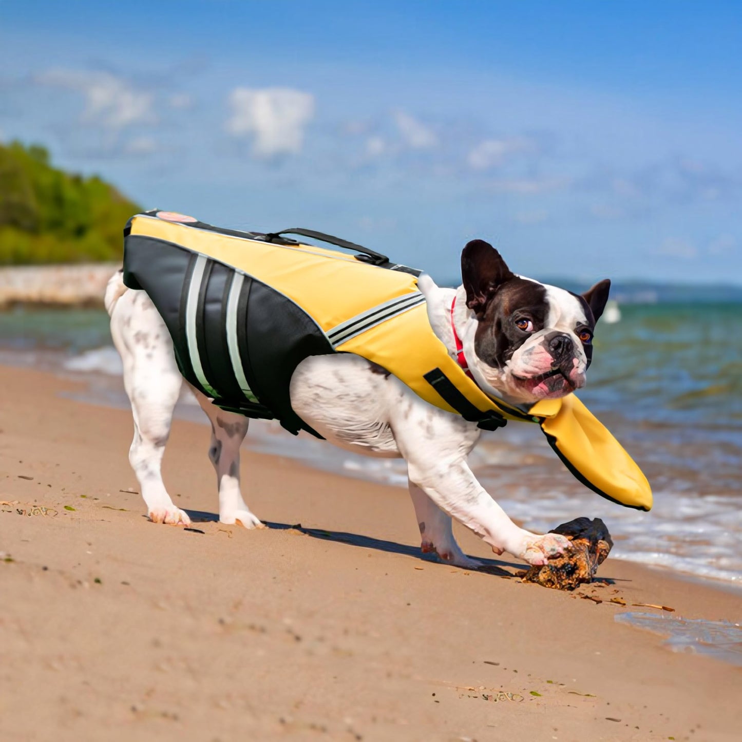 Reflective Dog Life Jacket, High Buoyancy Pet Safety Vest with Rescue Handle