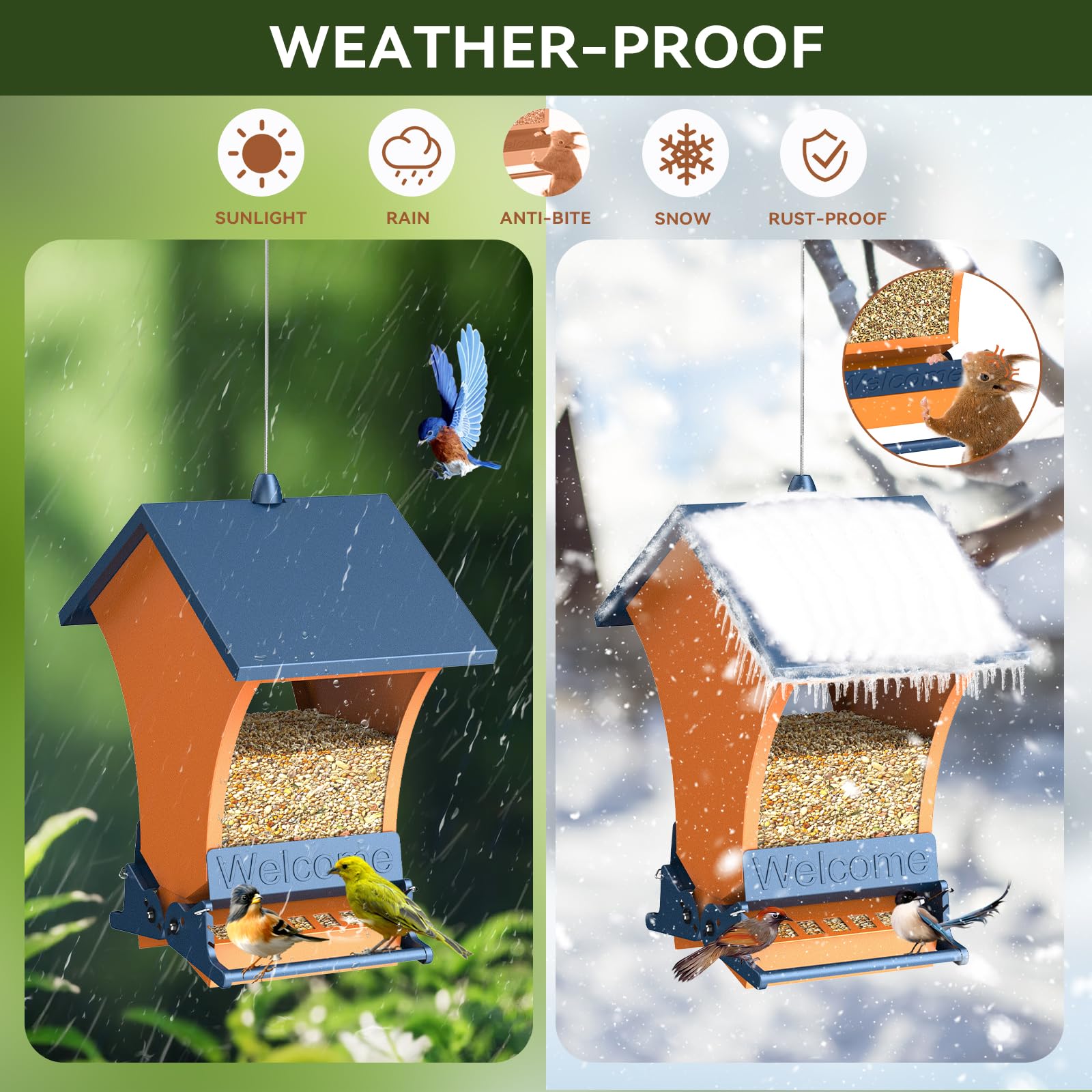 Bird feeder