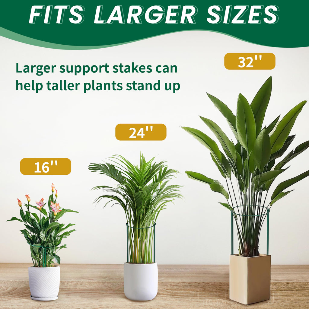 Plant Guard Ring