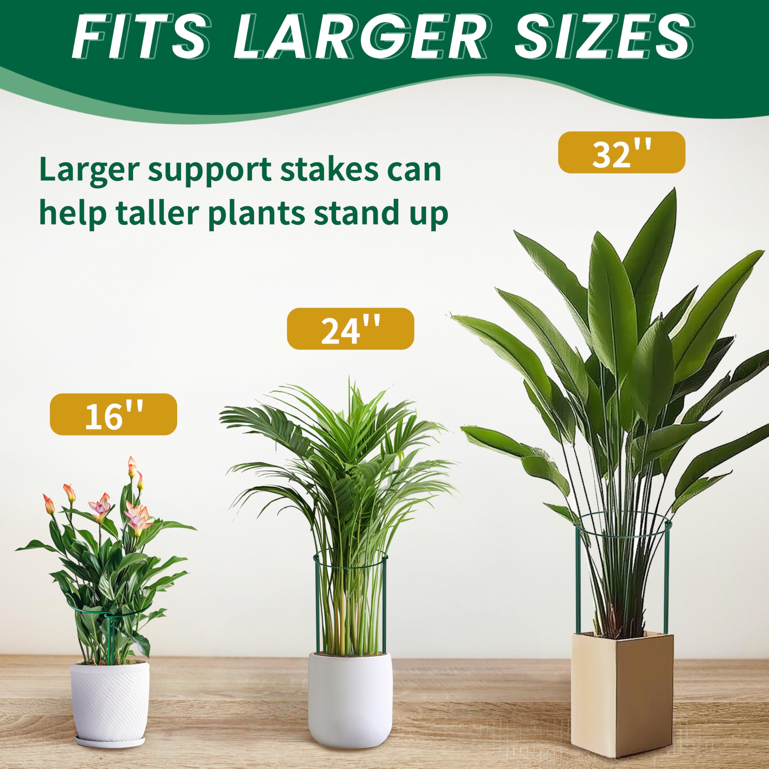 Plant Guard Ring