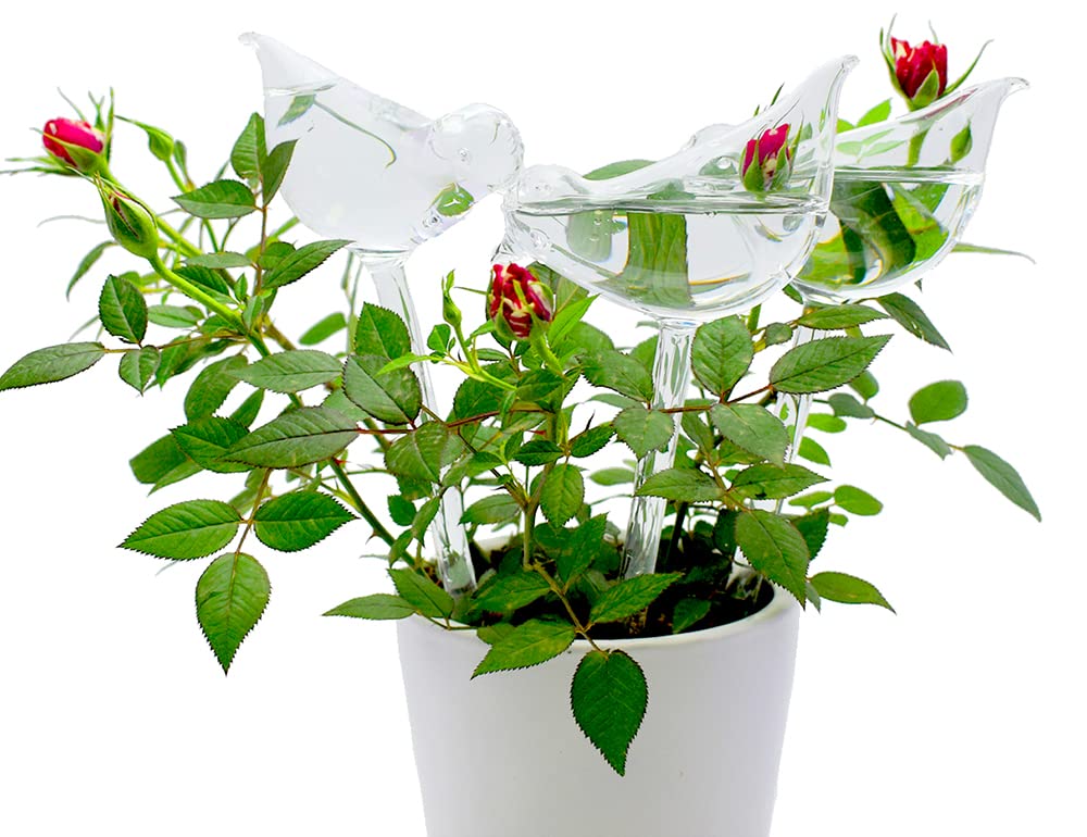 Automatic Watering Device