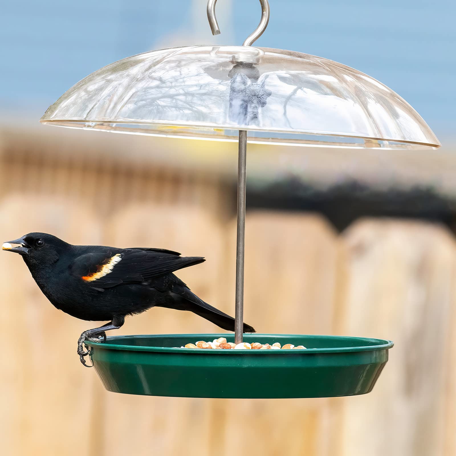 Rainproof bird feeder