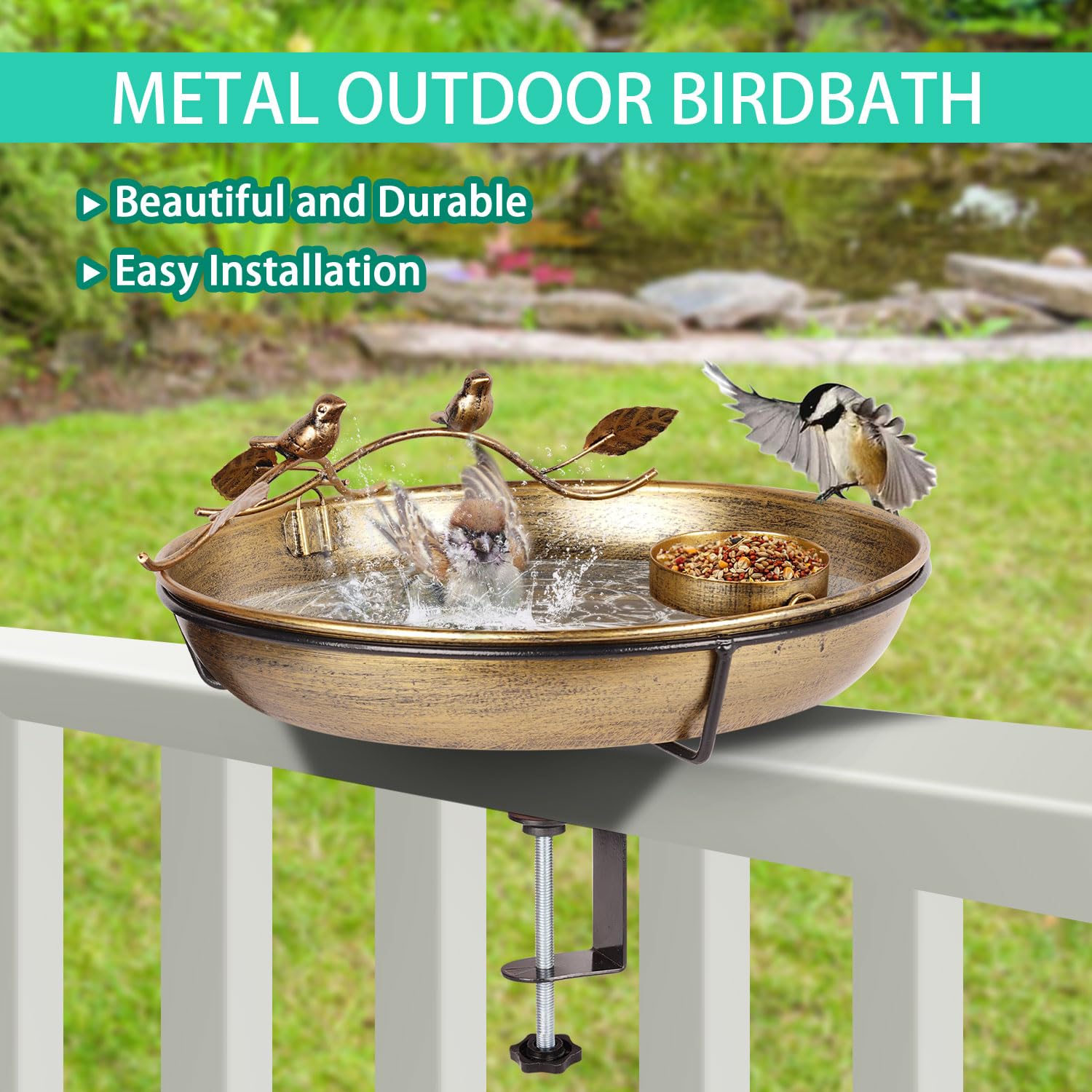 Bird Bath