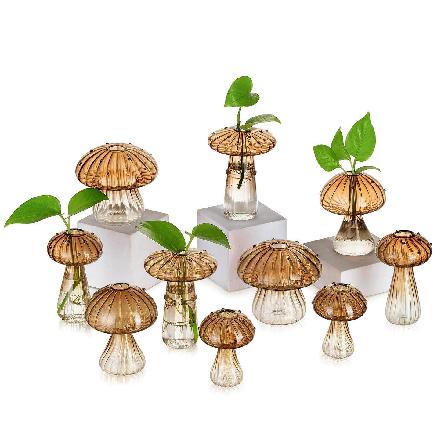 Mushroom Glass Propagation Vase Set
