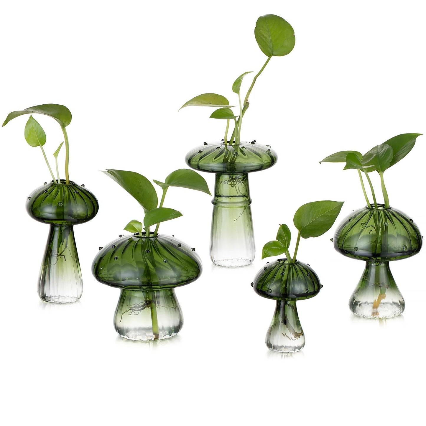 Mushroom Glass Propagation Vase Set