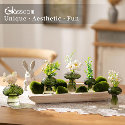 Mushroom Glass Propagation Vase Set