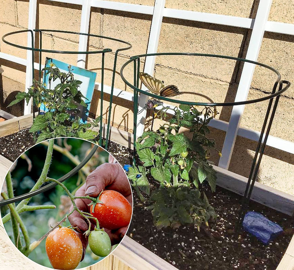 Plant Guard Ring