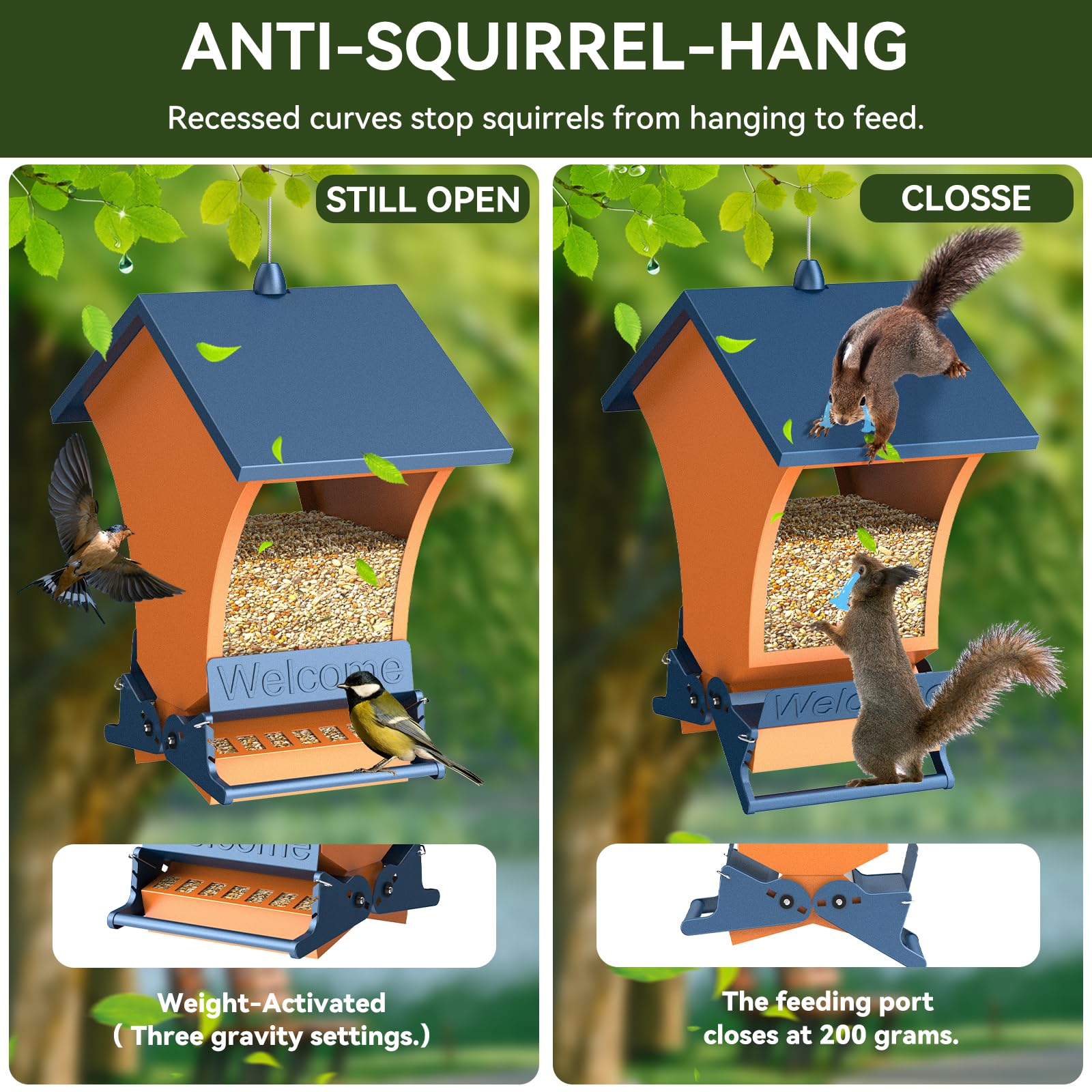 Bird feeder