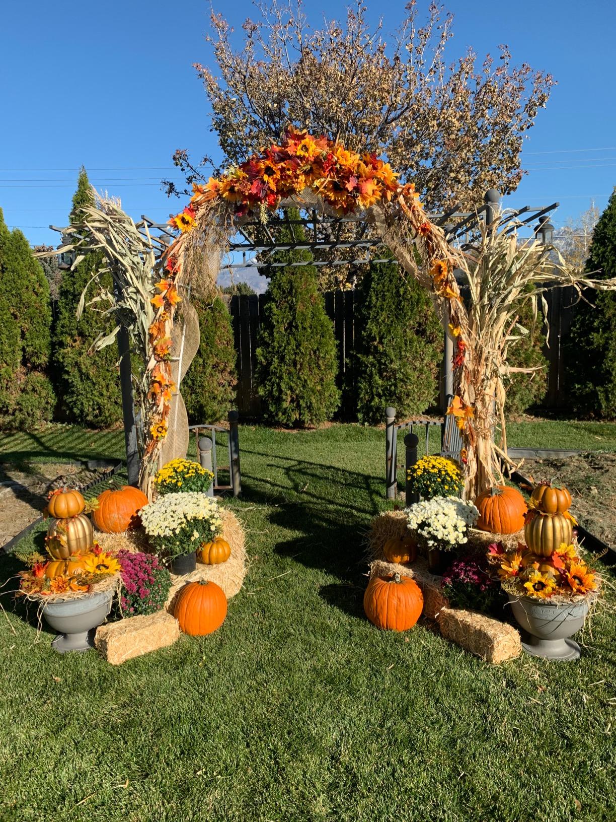 Heavy-Duty Garden Arch Trellis