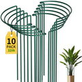 Plant Guard Ring