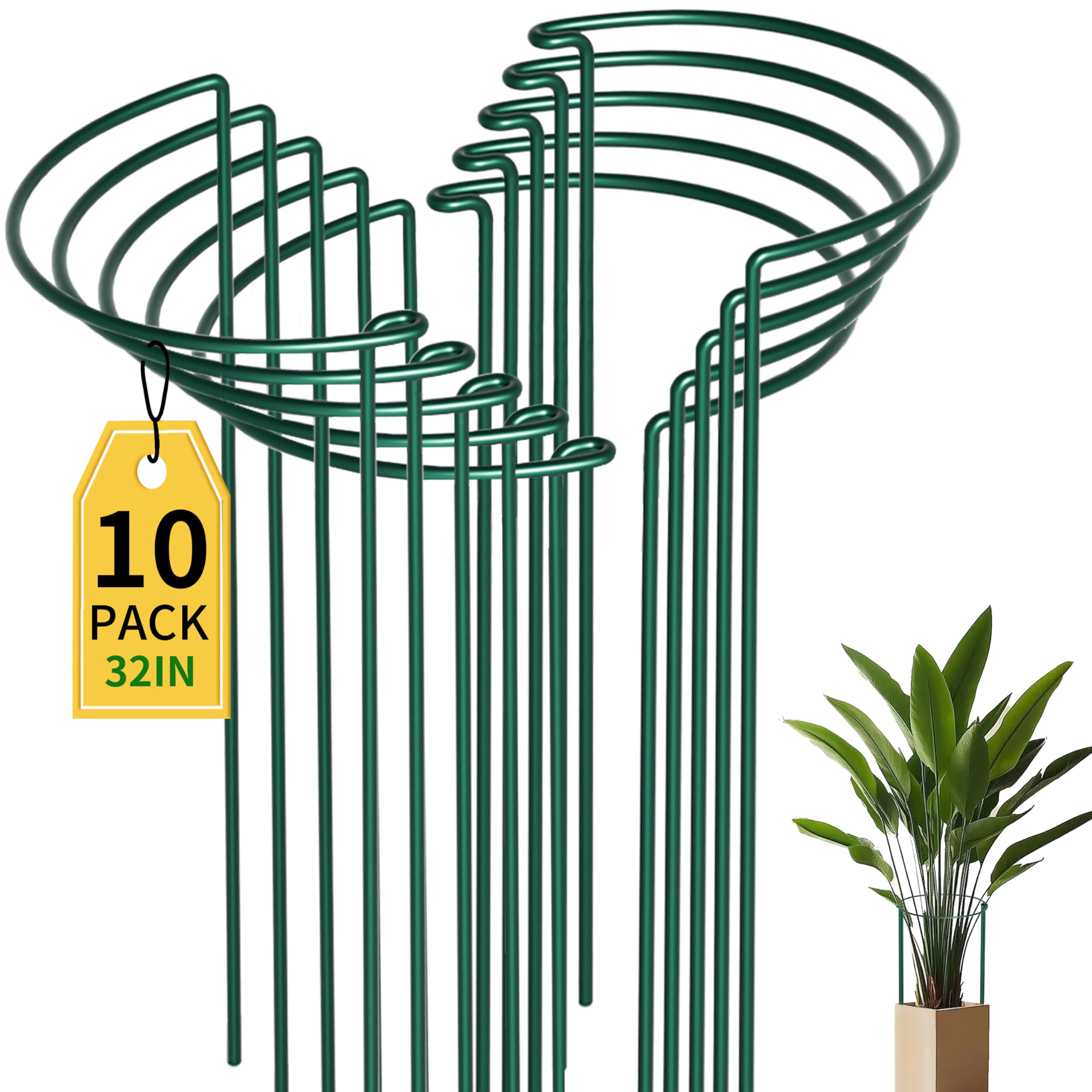 Plant Guard Ring
