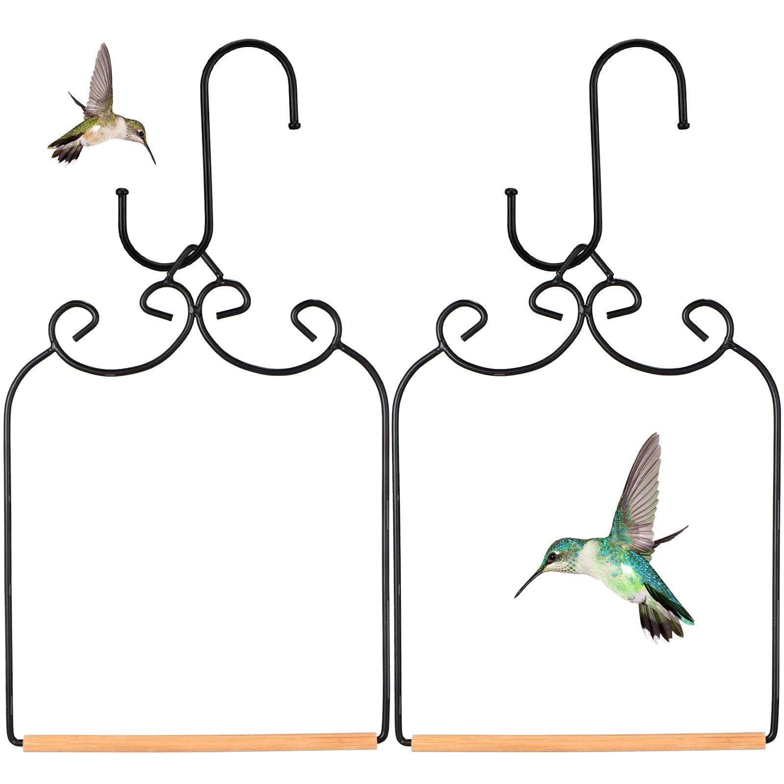 Hummingbird Swing
