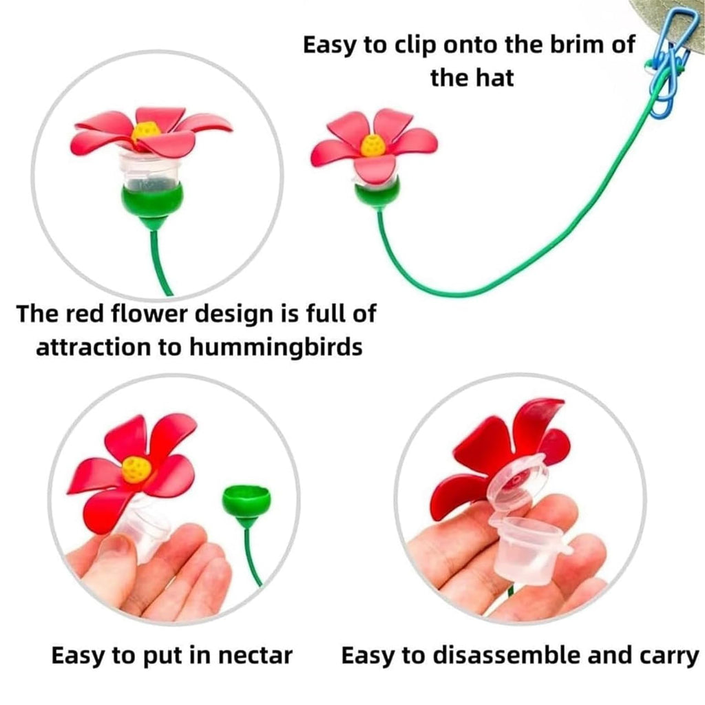 Hummingbird Swing Perch Set