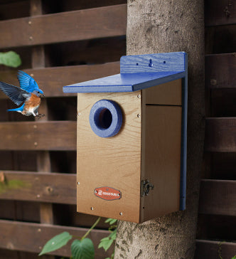 Bluebird-Friendly Nesting House