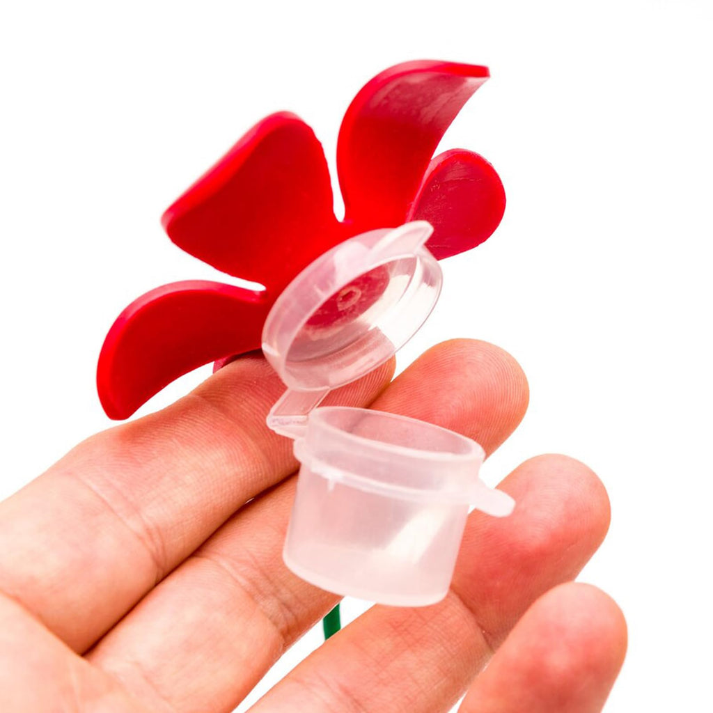 Hummingbird Swing Perch Set