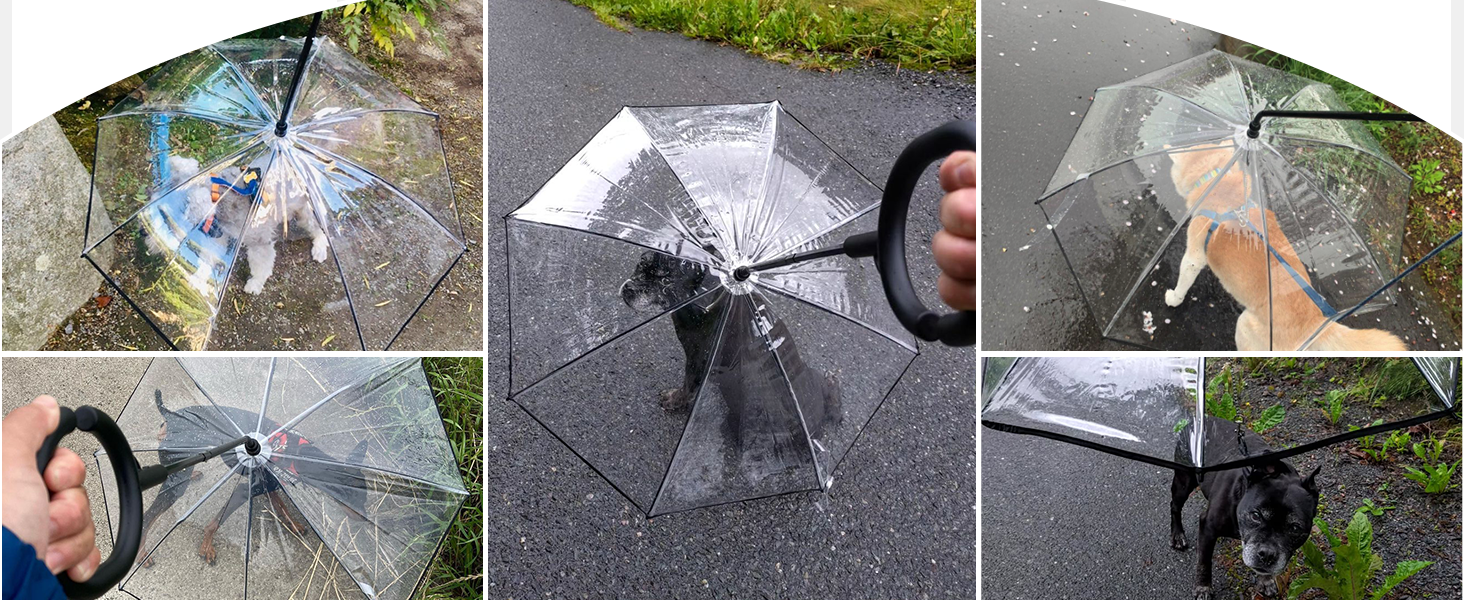 Pet umbrella