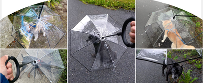 Pet umbrella