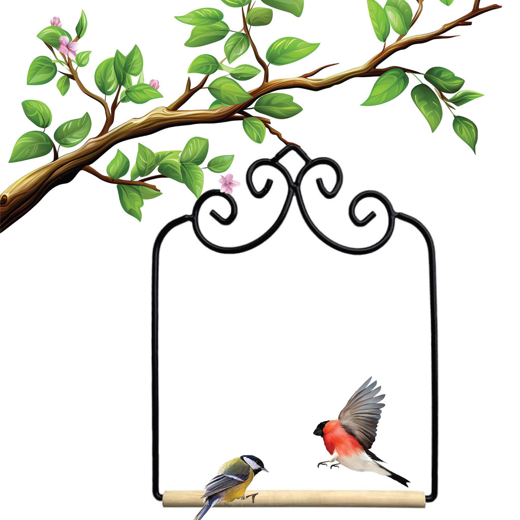 Hummingbird Swing