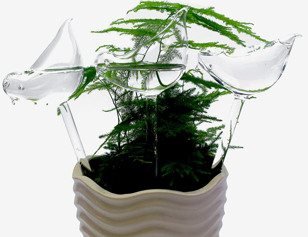Automatic Watering Device