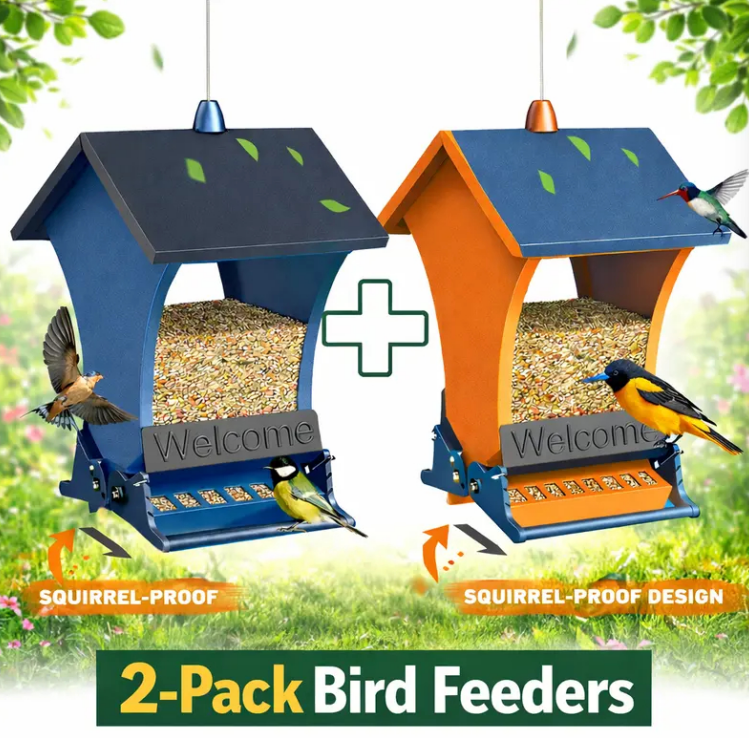 Bird feeder