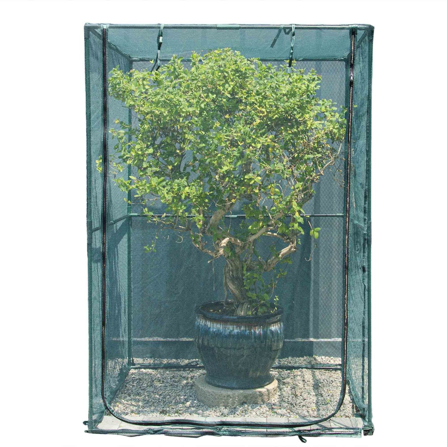 Easy-Setup Plant Protection Cage