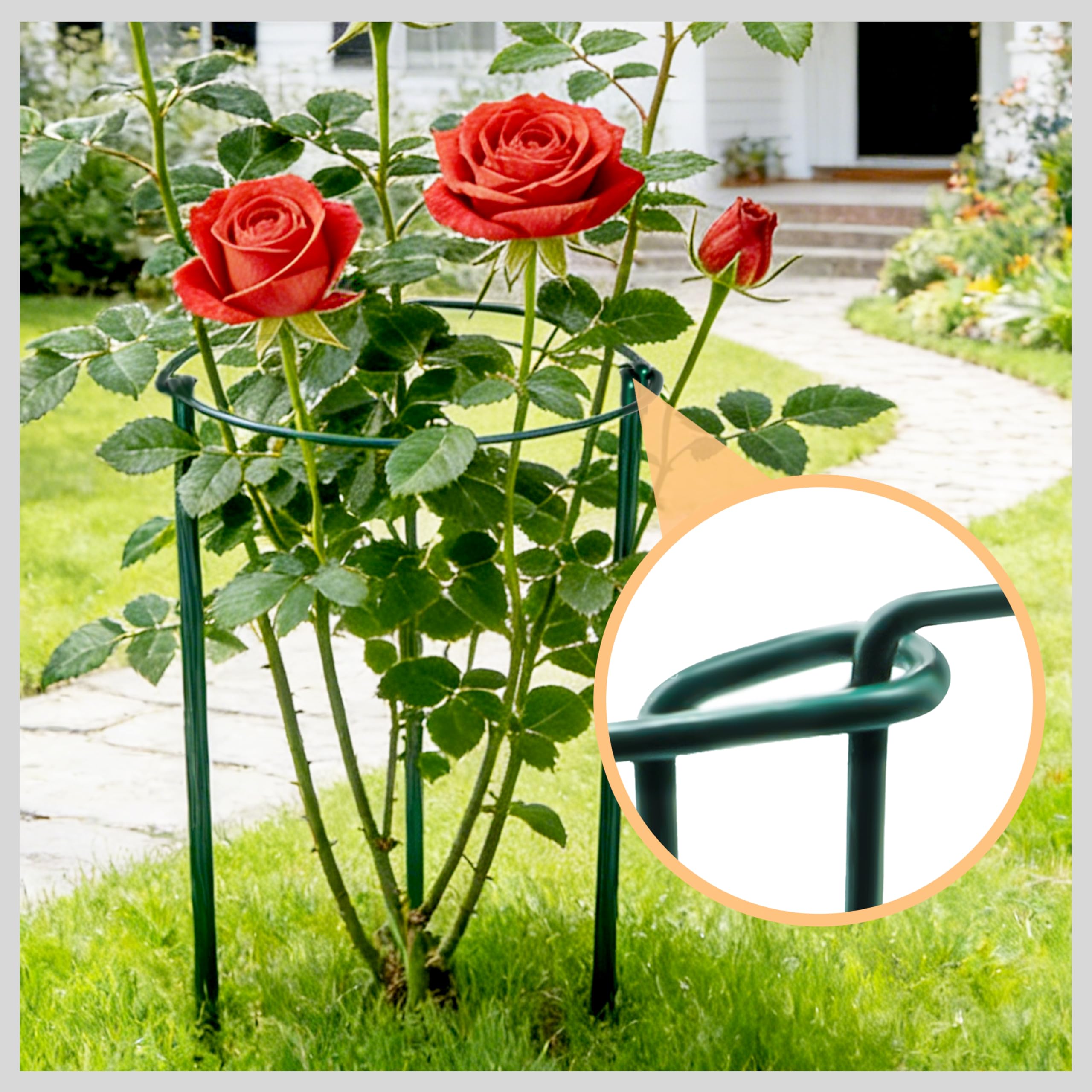 Plant Guard Ring