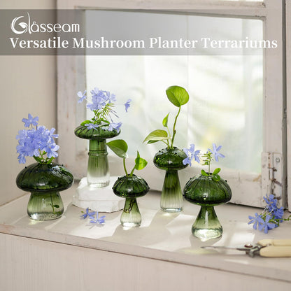 Mushroom Glass Propagation Vase Set