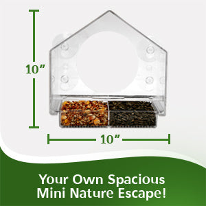 Window Bird Feeder