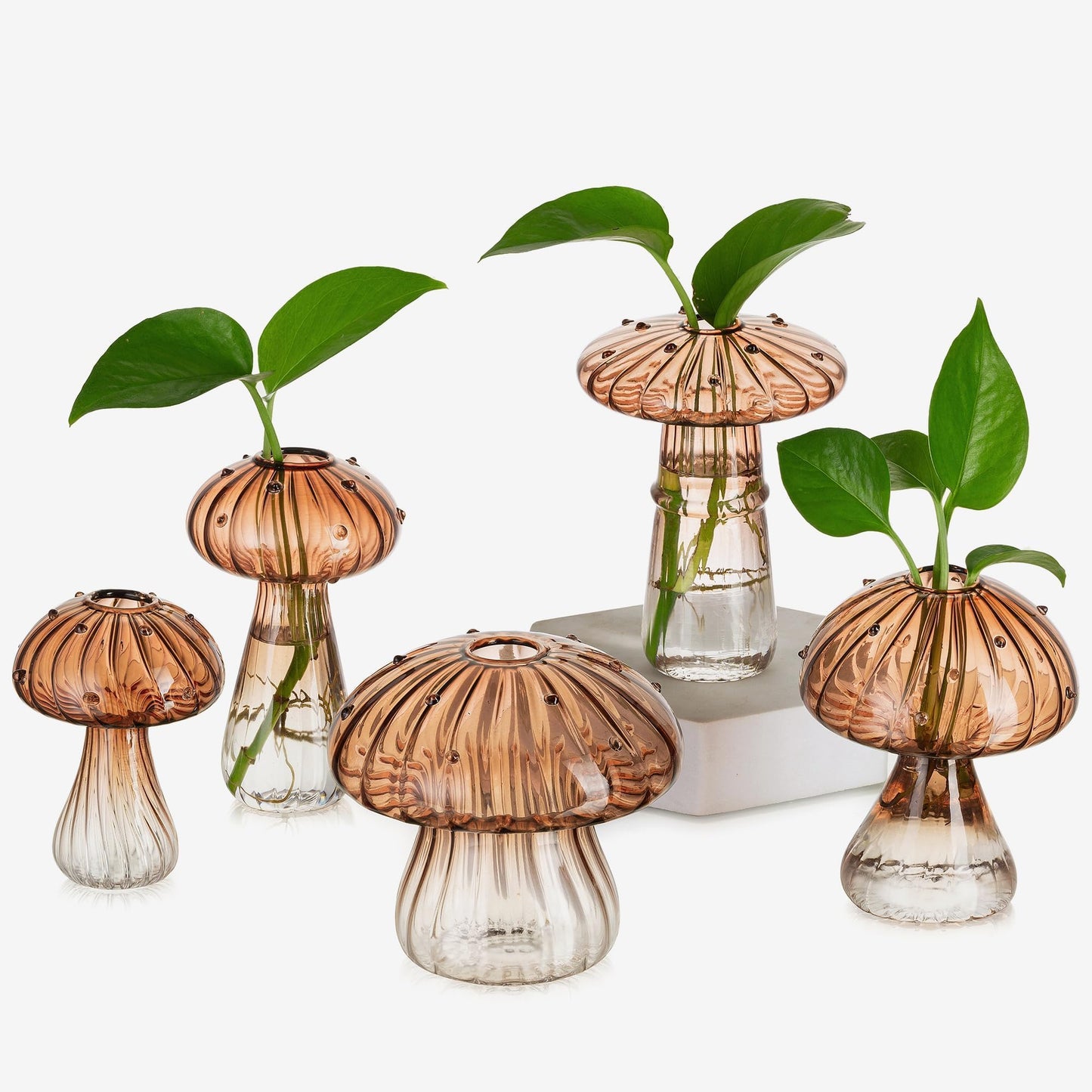 Mushroom Glass Propagation Vase Set