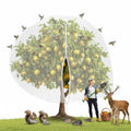 Fruit Tree Protection Netting