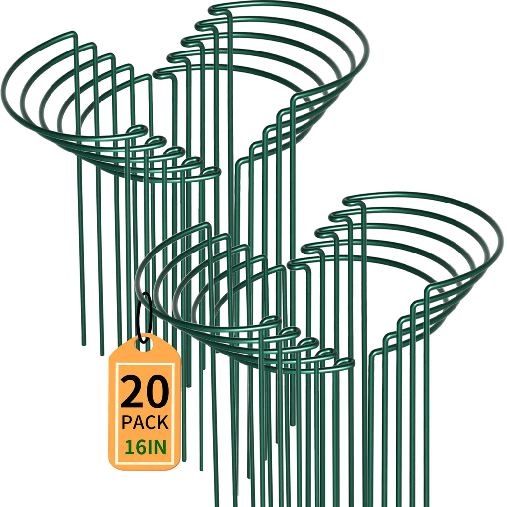 Plant Guard Ring