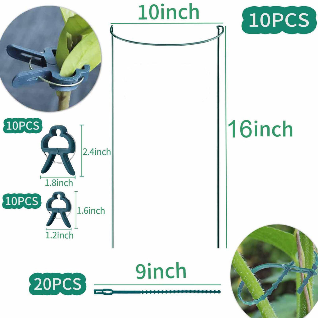 Plant Guard Ring