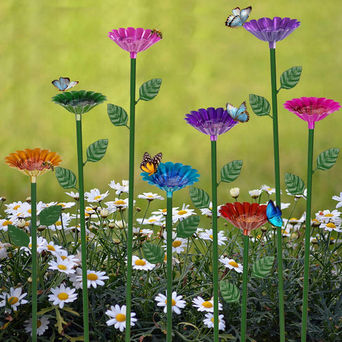 Butterfly Water Station