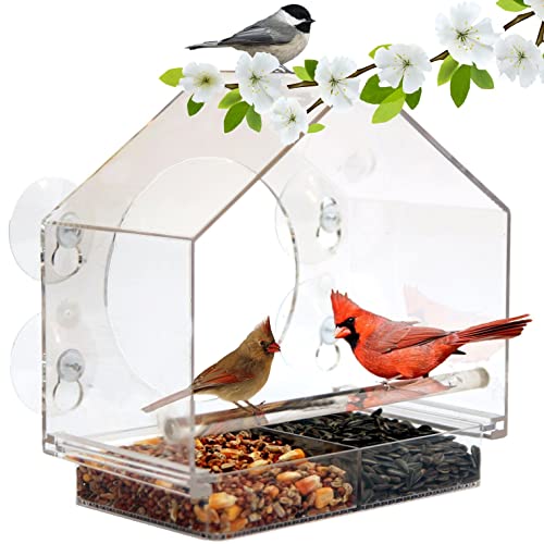 Window Bird Feeder
