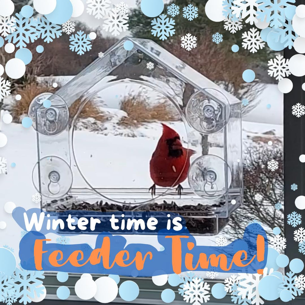 Window Bird Feeder