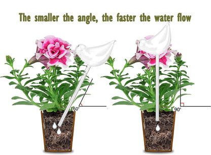Glass Bird Plant Waterer