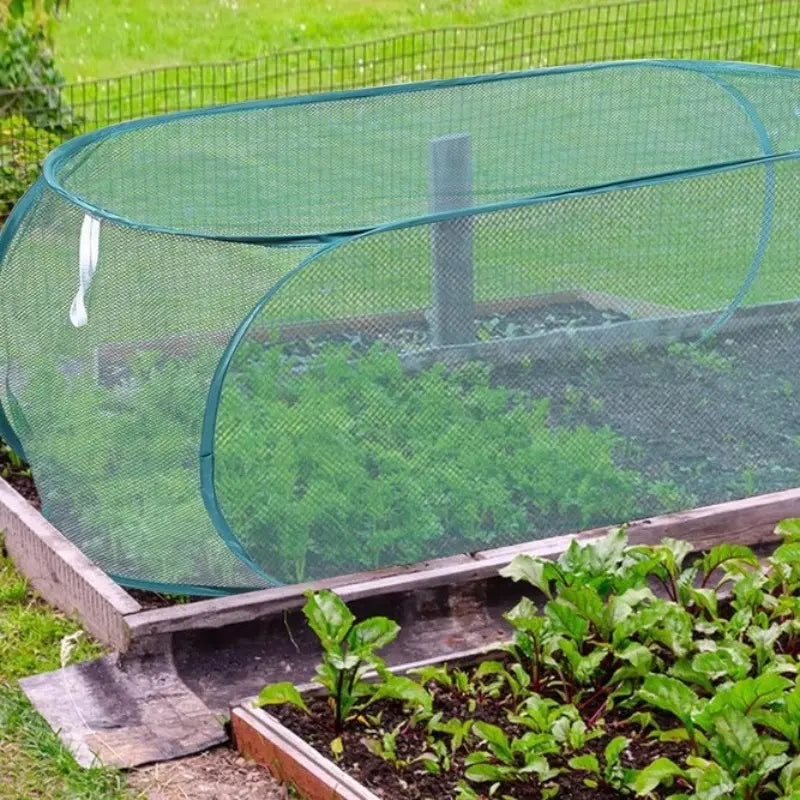 Reusable Pop‑Up Insect‑Proof Plant Protector, Mesh Garden Netting with Stakes