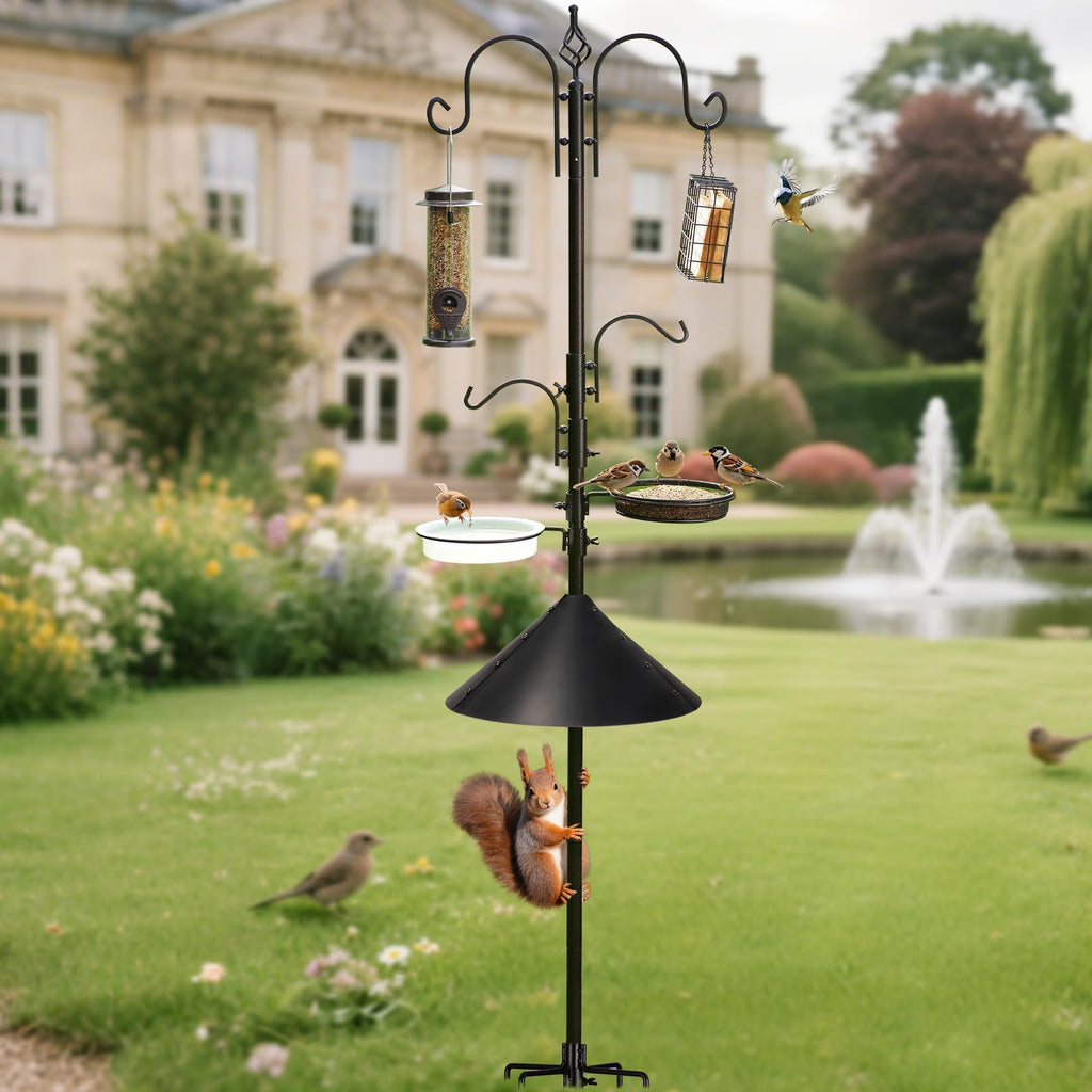 Multifunctional Bird Feeding Pole