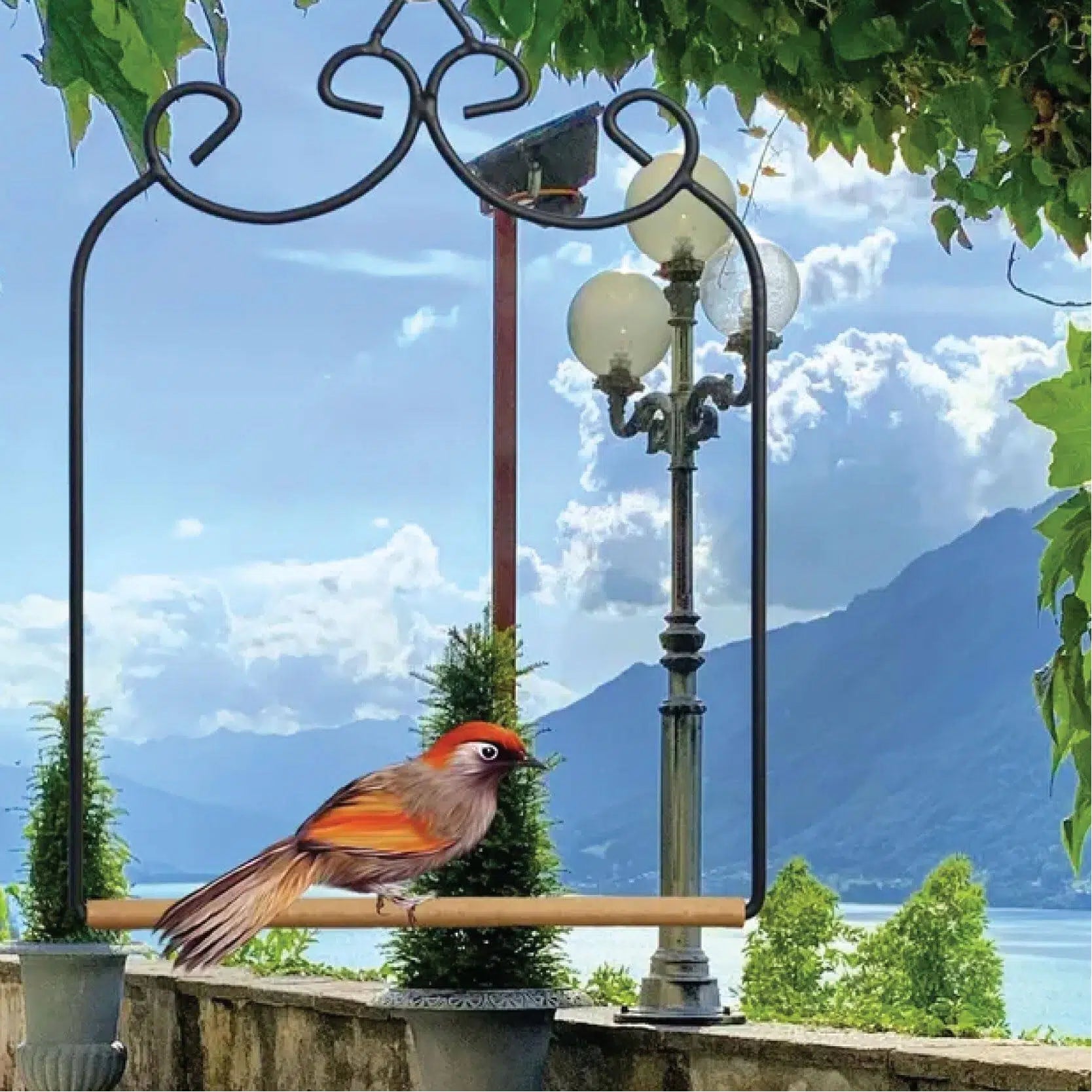 Hummingbird Swing Perch Set