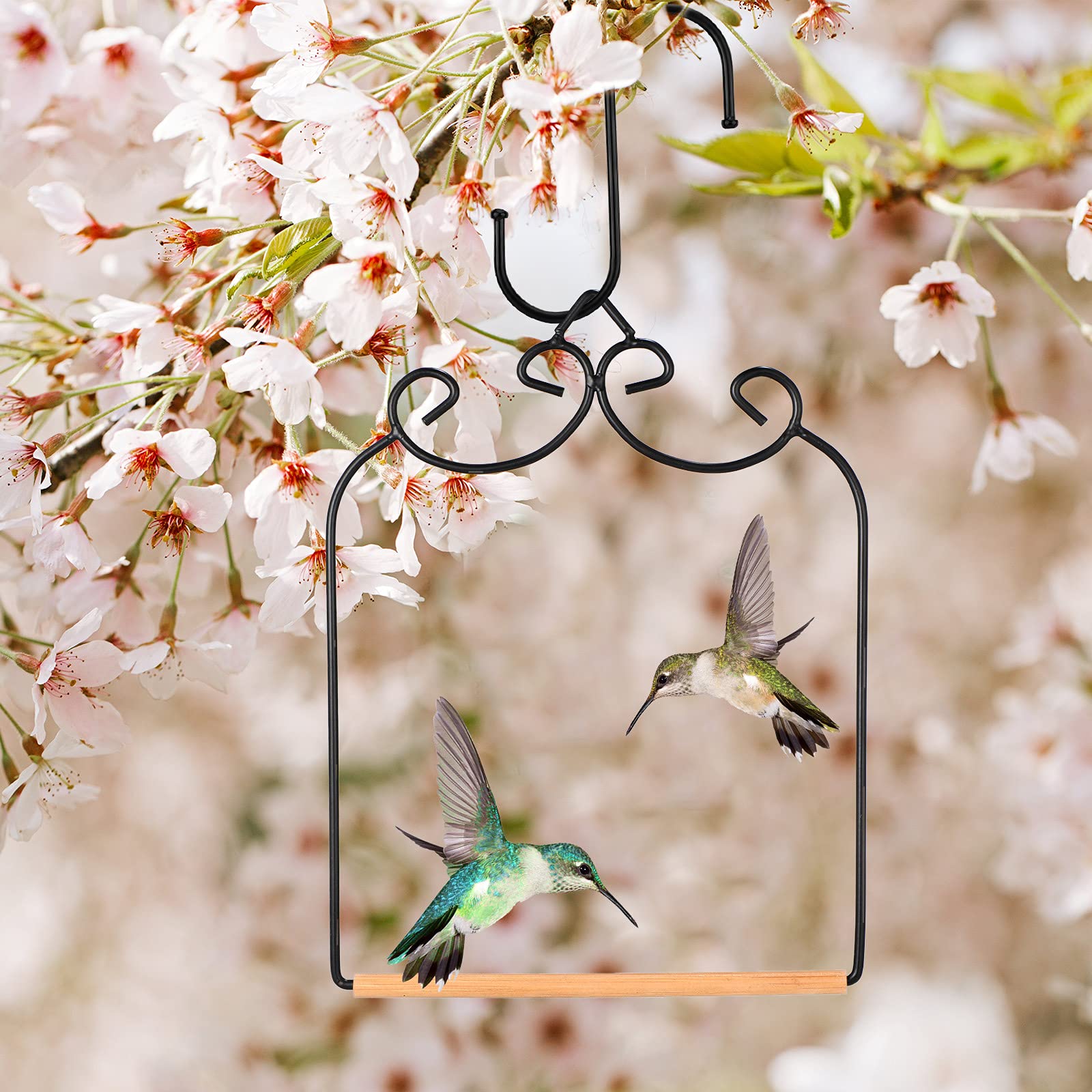 Hummingbird Swing Perch Set