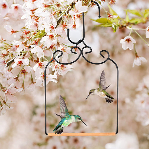 Hummingbird Swing Perch Set