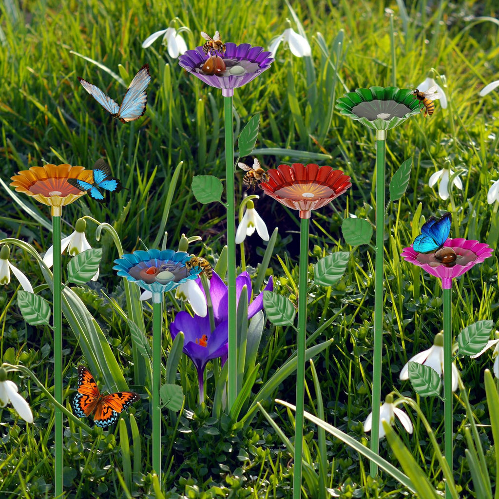 Butterfly Water Station