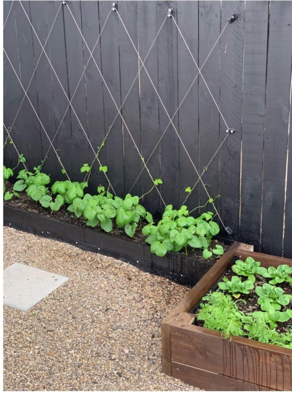 Heavy-Duty Wire Trellis System