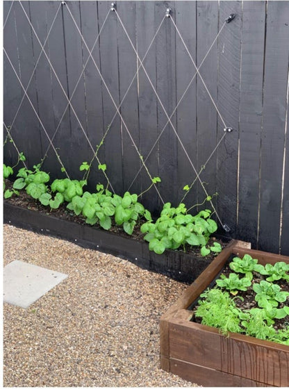 Heavy-Duty Wire Trellis System