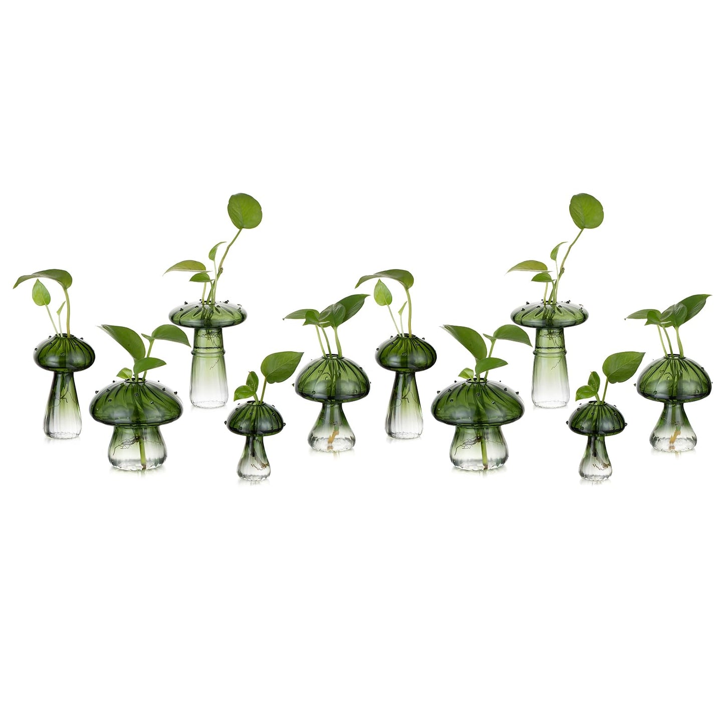 Mushroom Glass Propagation Vase Set