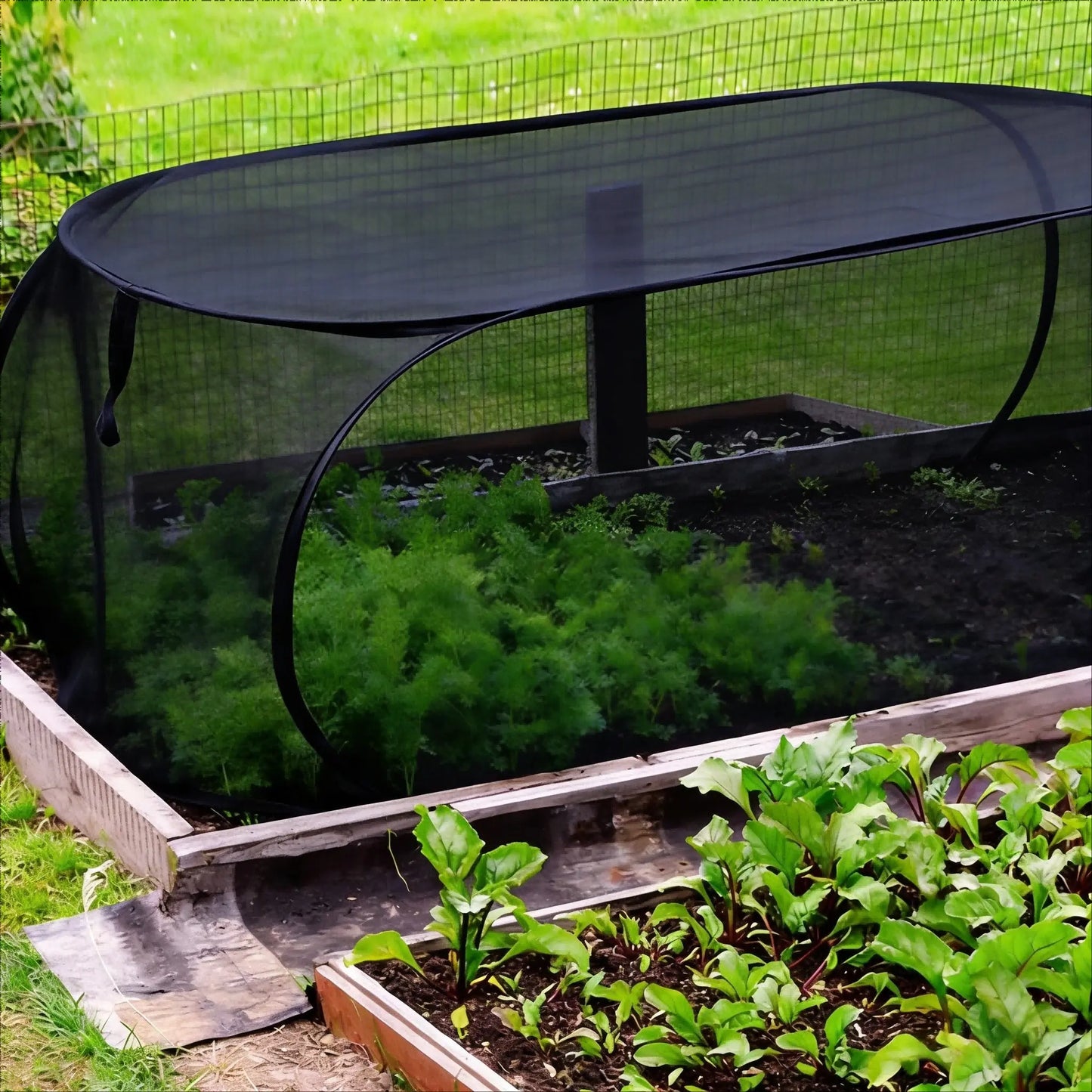 Reusable Pop‑Up Insect‑Proof Plant Protector, Mesh Garden Netting with Stakes