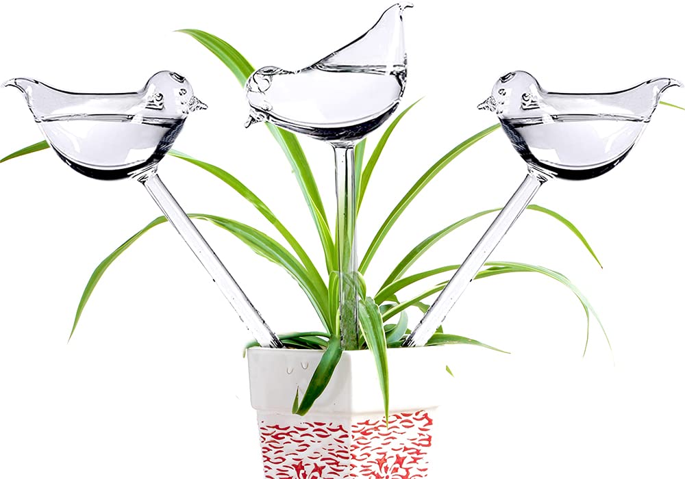 Automatic Watering Device