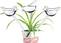 Automatic Watering Device