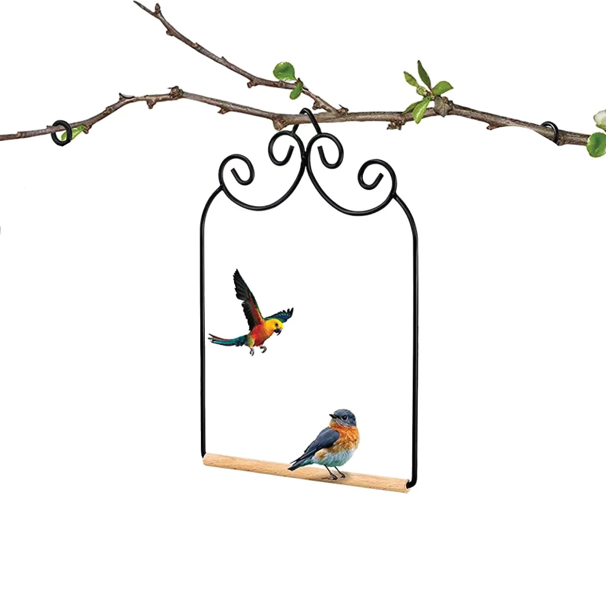 Hummingbird Swing